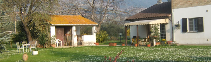 View of the house and garden